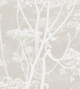 Cow Parsley Fabric by Cole & Son White & Taupe Cow Parsley Fabric by Cole & Son White & Taupe