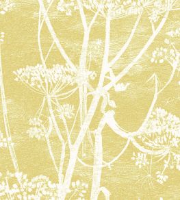 Cow Parsley Fabric by Cole & Son White & Chartreuse