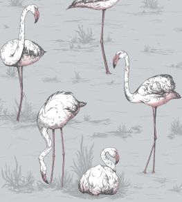 Flamingos Wallpaper by Cole & Son 11040 Flamingos Wallpaper by Cole & Son 11040
