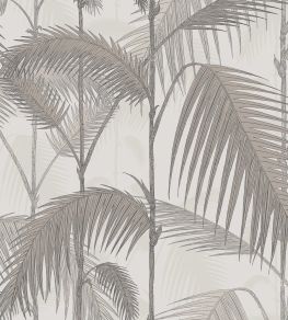 Palm Jungle Wallpaper by Cole & Son 1004 Palm Jungle Wallpaper by Cole & Son 1004
