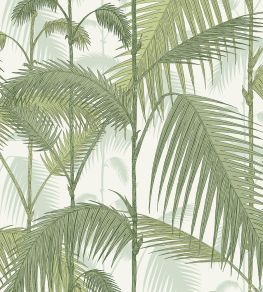 Palm Jungle Fabric by Cole & Son Olive Green on White Palm Jungle Fabric by Cole & Son Olive Green on White