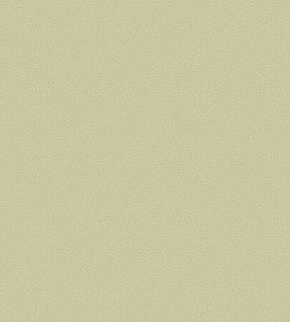 Coral Wallpaper by Cole & Son 5067
