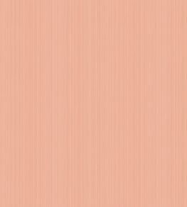 Jaspe Wallpaper by Cole & Son 3050 Jaspe Wallpaper by Cole & Son 3050