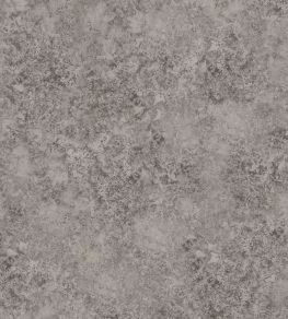 Patina Haze Wallpaper by Cole & Son Taupe Patina Haze Wallpaper by Cole & Son Taupe