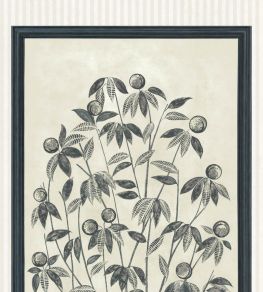 Trees of Eden Life Mural by Cole & Son Charcoal/Parchment