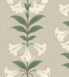 Angels Trumpet Wallpaper by Cole & Son 3007 Angels Trumpet Wallpaper by Cole & Son 3007