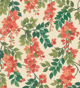 Bougainvillea Wallpaper by Cole & Son 6016 Bougainvillea Wallpaper by Cole & Son 6016