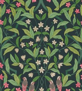 Jasmine And Serin Symphony Wallpaper by Cole & Son 10028 Jasmine And Serin Symphony Wallpaper by Cole & Son 10028