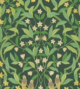 Jasmine And Serin Symphony Wallpaper by Cole & Son 10029 Jasmine And Serin Symphony Wallpaper by Cole & Son 10029