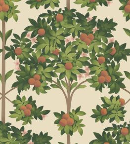 Orange Blossom Wallpaper by Cole & Son 1001 Orange Blossom Wallpaper by Cole & Son 1001