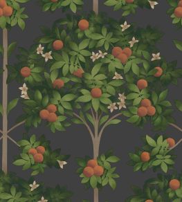 Orange Blossom Wallpaper by Cole & Son 1003 Orange Blossom Wallpaper by Cole & Son 1003
