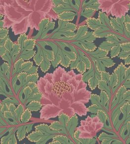 Aurora Wallpaper by Cole & Son 2