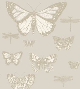 Butterflies & Dragonflies Wallpaper by Cole & Son Grey Butterflies & Dragonflies Wallpaper by Cole & Son Grey