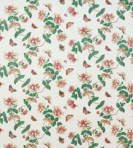 Honeysuckle Fabric by Colefax and Fowler Red Honeysuckle Fabric by Colefax and Fowler Red
