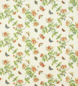 Honeysuckle Fabric by Colefax and Fowler Yellow/Orange Honeysuckle Fabric by Colefax and Fowler Yellow/Orange