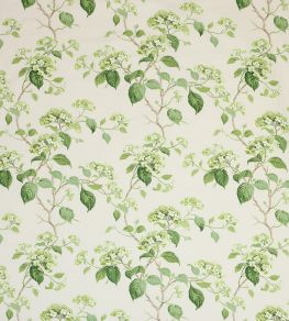 Summerby Cotton Fabric by Colefax and Fowler Leaf Green Summerby Cotton Fabric by Colefax and Fowler Leaf Green