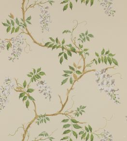 Alderney Wallpaper by Colefax and Fowler Cream