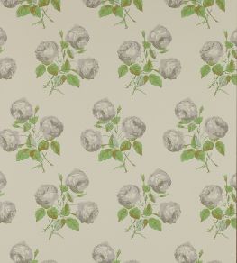 Bowood Wallpaper by Colefax and Fowler Grey/Green Bowood Wallpaper by Colefax and Fowler Grey/Green