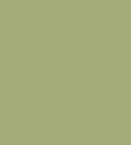 Colour Box Velvet Fabric by Cole & Son Sage Colour Box Velvet Fabric by Cole & Son Sage