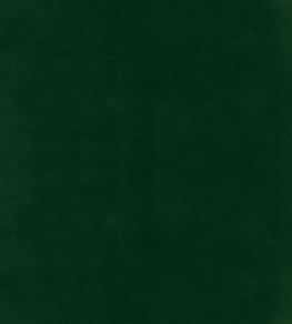 Columbia Fabric by Wemyss Hunter Columbia Fabric by Wemyss Hunter