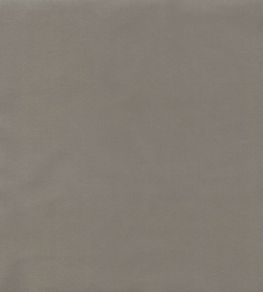 Columbia Fabric by Wemyss Nickel