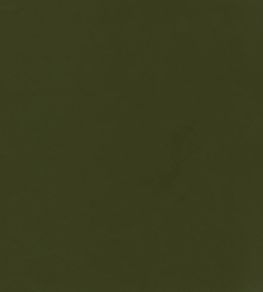 Columbia Fabric by Wemyss Olive Columbia Fabric by Wemyss Olive