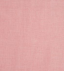 Concept Fabric by Prestigious Textiles Blush