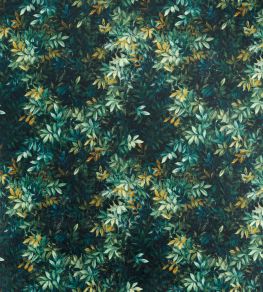 Congo Fabric by Clarke & Clarke Forest Congo Fabric by Clarke & Clarke Forest