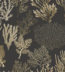 Corail Wallpaper by Casadeco Noir Fusain Corail Wallpaper by Casadeco Noir Fusain