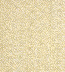 Coro Fabric by Jane Churchill Yellow Coro Fabric by Jane Churchill Yellow