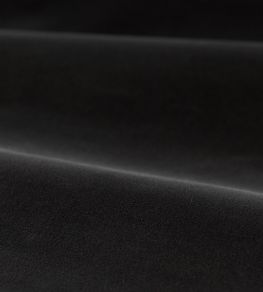 Cotton Velvet Performance Fabric by Zoffany Anthracite Cotton Velvet Performance Fabric by Zoffany Anthracite
