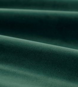 Cotton Velvet Performance Fabric by Zoffany Emerald Cotton Velvet Performance Fabric by Zoffany Emerald