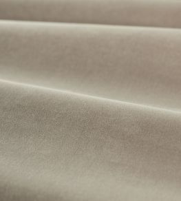 Cotton Velvet Performance Fabric by Zoffany Mink Cotton Velvet Performance Fabric by Zoffany Mink