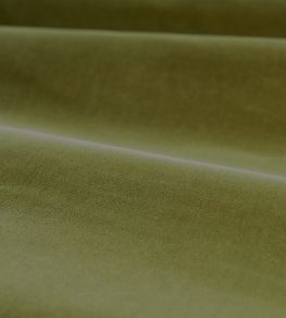 Cotton Velvet Performance Fabric by Zoffany Olive Cotton Velvet Performance Fabric by Zoffany Olive