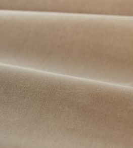 Cotton Velvet Performance Fabric by Zoffany Parchment Cotton Velvet Performance Fabric by Zoffany Parchment