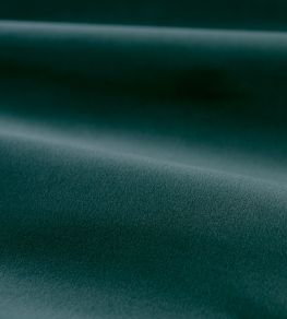 Cotton Velvet Performance Fabric by Zoffany Teal Cotton Velvet Performance Fabric by Zoffany Teal