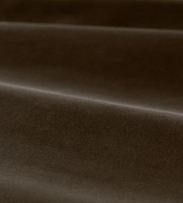 Cotton Velvet Performance Fabric by Zoffany Umber Cotton Velvet Performance Fabric by Zoffany Umber