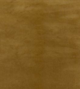 Court Velvet Fabric by GP & J Baker Soft Gold Court Velvet Fabric by GP & J Baker Soft Gold