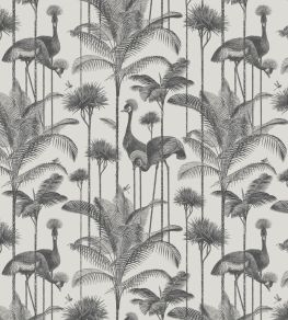 Crane Fonda Wallpaper by Divine Savages Charcoal