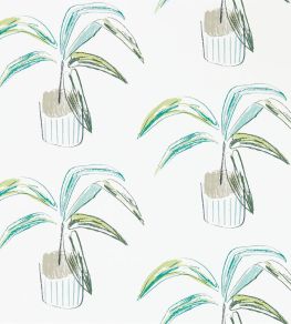 Crassula Wallpaper by Scion Juniper / Lime