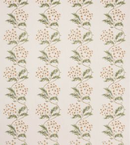 Cresswell Fabric by Colefax And Fowler Gold/Leaf