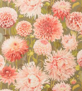Dahlia Wallpaper by Harlequin Coral / Fig Leaf / Gilver Dahlia Wallpaper by Harlequin Coral / Fig Leaf / Gilver