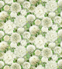 Dahlia Fabric by Harlequin Sail Cloth / Meadow / Sketched Dahlia Fabric by Harlequin Sail Cloth / Meadow / Sketched