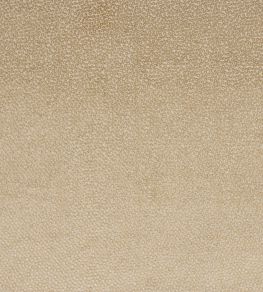 Darwin Fabric by Jane Churchill Beige Darwin Fabric by Jane Churchill Beige