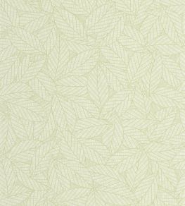 Delora Wallpaper by Caselio Vert amande Delora Wallpaper by Caselio Vert amande