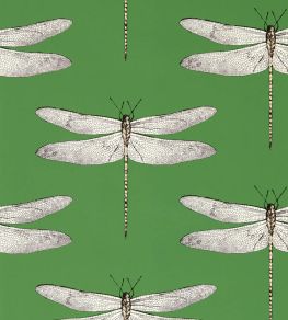 Demoiselle Wallpaper by Harlequin Kelly/First Light/Blush Demoiselle Wallpaper by Harlequin Kelly/First Light/Blush