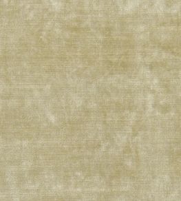 Glenville Fabric by Designers Guild Ecru Glenville Fabric by Designers Guild Ecru