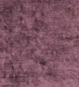 Glenville Fabric by Designers Guild Grape Glenville Fabric by Designers Guild Grape