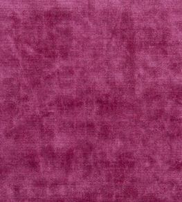 Glenville Fabric by Designers Guild Camellia