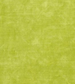 Glenville Fabric by Designers Guild Lime Glenville Fabric by Designers Guild Lime